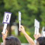 How to Make the Most of Government Auctions