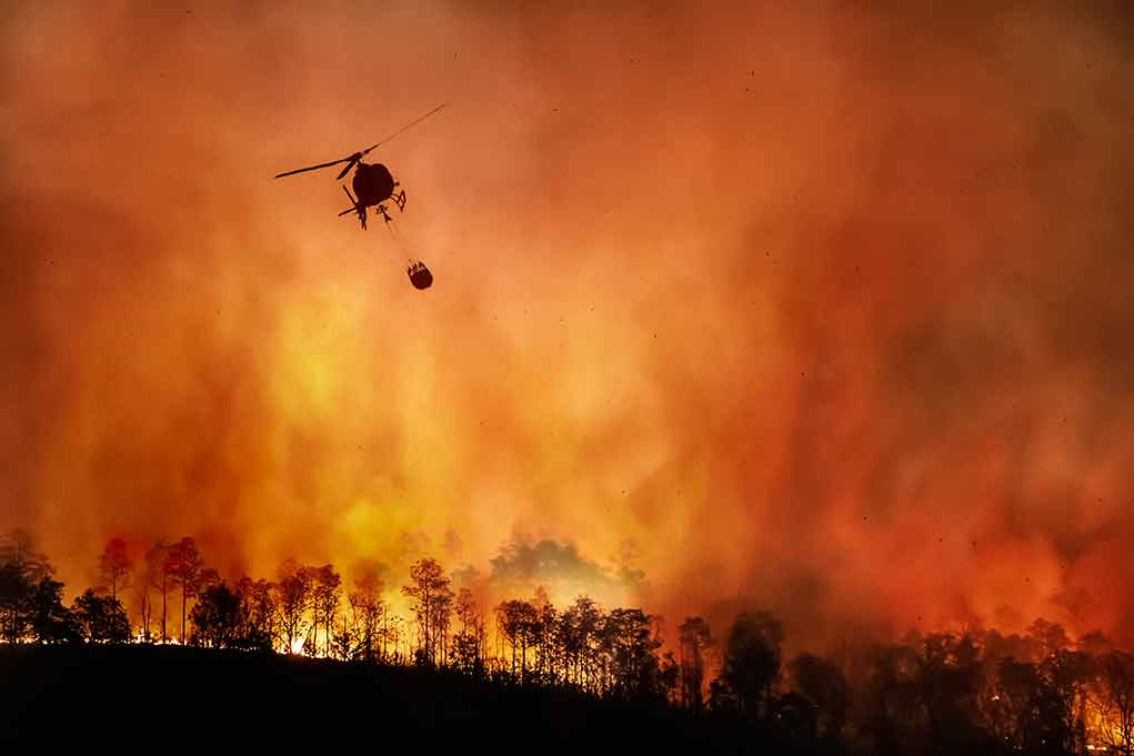 1810018291 featured image Relief Package Approved for California Fire Devastation