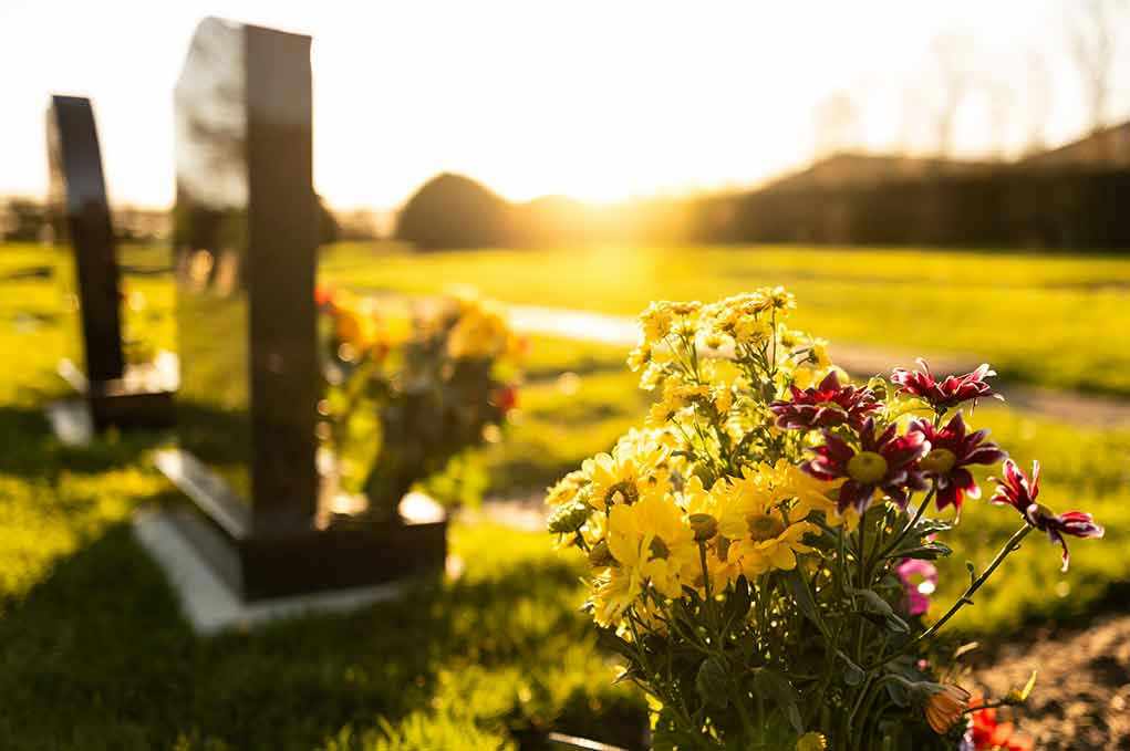 Sunlit cemetery with flowers on headstone