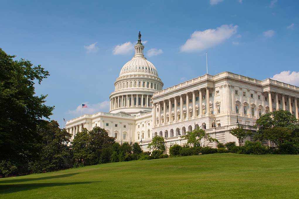 The U.S. Capitol building surrounded by green grass and trees under a blue sky