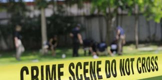 Yellow crime scene tape blocking grassy area.