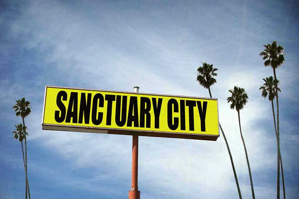 Sanctuary City sign with palm trees and sky.