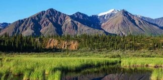 Scenic view of mountains reflecting in a calm lake surrounded by greenery