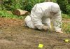 Cartel Havoc: Dismembered Bodies Shock Mexico Forensic investigator in a protective suit collecting evidence from the ground