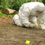 Cartel Havoc: Dismembered Bodies Shock Mexico Forensic investigator in a protective suit collecting evidence from the ground