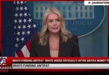Antifa Funding Investigation Expands