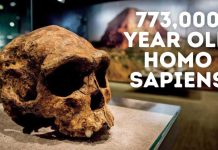 773000 Year Old Homo Sapiens Outside of Sub-Saharan Africa