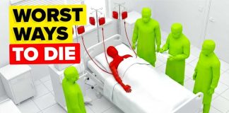 83 Days of Horror—This Death Defies Belief