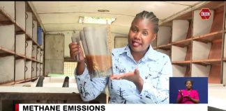 Climate scientist discovers biological method of reducing