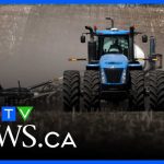 Diesel Doubles, Fertilizer Gone—Farmers Sound the Alarm