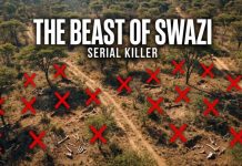 Hitchhiker Vanishes—Nightmare Pattern Emerges Hitchhiker Vanishes—Nightmare Pattern Emerges