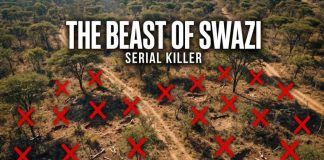 Hitchhiker Vanishes—Nightmare Pattern Emerges