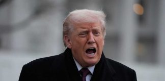 Trump Blasts NATO Cowards