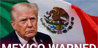 Trump's Mexico Cartel Bombshell