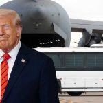 Woke Judge Orders MS-13 Release