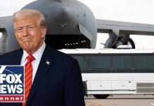 Woke Judge Orders MS-13 Release