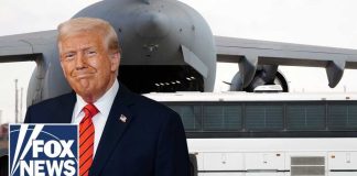 Woke Judge Orders MS-13 Release