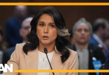 COORDINATED Plot to Overthrow Trump EXPOSED