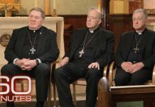 Cardinals UNLOAD on Trump