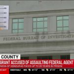 Gun Grab Chaos Shocks Homeland Agents