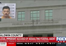 Gun Grab Chaos Shocks Homeland Agents