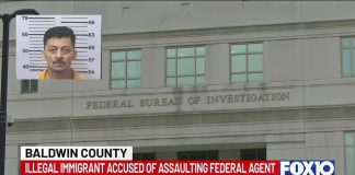 Gun Grab Chaos Shocks Homeland Agents