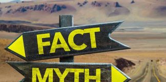 JURASSIC Giants: The TRUTH Behind the Hype Directional signs labeled Fact and Myth in desert.