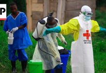 New Ebola outbreak has killed 65 people in a remote Congo province