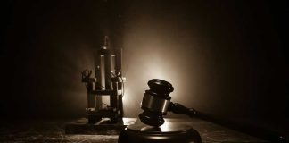 Dead Diplomat, Growing Mystery Gavel and electric chair in dimly lit room