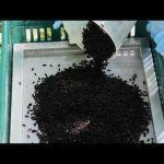 Gov. Abbott issues disaster declaration for New World Screwworm