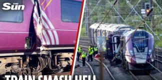 Green Light: Train Crash Near Bedford One dead & nearly 90 injured after train crashes into back of another – as passengers left bloodied