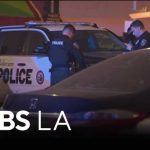 Gas-Station Carnage Stuns LA Carjacking suspect hits several pedestrians during Culver City police pursuit