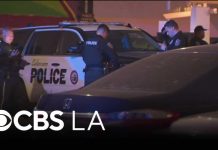 Carjacking suspect hits several pedestrians during Culver City police pursuit