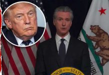 Gavin Newsom Claims He's Being Investigated by DOJ