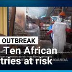Deadly Ebola Strain Spreads as Global Alert Intensifies Ebola epidemic: Ten African countries at risk warns Africa CDC • FRANCE 24 English