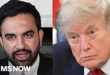 'PATRIOTISM is every act of righteous dissent.' Mamdani GOES AT Trump on America 250th speech