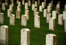 Rows of gravestones in a cemetery surrounded by green grass