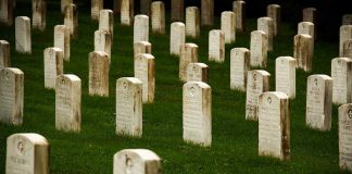 Pentagon’s Iran War Death Toll Sparks New Questions Rows of gravestones in a cemetery surrounded by green grass