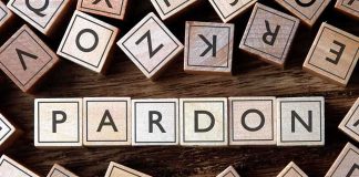 Another Wave of Trump Pardons Sparks Fierce Justice Fight Wooden letter blocks arranged to spell 'PARDON' on a wooden surface