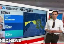 Alan Wilson projected winner in South Carolina Republican governor primary