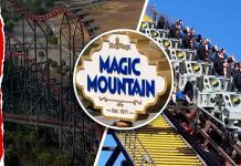 Inside the Deadly Six Flags Rollercoaster That Closed After Latest Victims Needed Brain Surgery