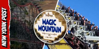Colorado Coaster Shuts Down After Rider Injury Inside the Deadly Six Flags Rollercoaster That Closed After Latest Victims Needed Brain Surgery