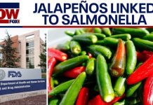 Salmonella outbreak linked to jalapeños expands