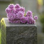 Viral Posts Target Slain Teen’s Memory Purple chrysanthemums on a gravestone