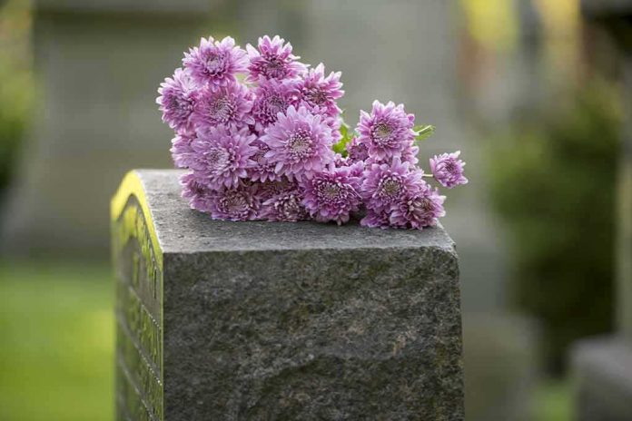 Purple chrysanthemums on a gravestone