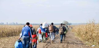 Europe ‘Catastrophe’ Warning Stuns Allies Group of people walking along a muddy farm road with bags and backpacks