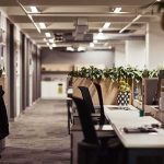 Open-plan office with empty desks and plants along partitions