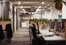 Open-plan office with empty desks and plants along partitions