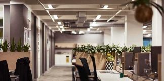 Open-plan office with empty desks and plants along partitions