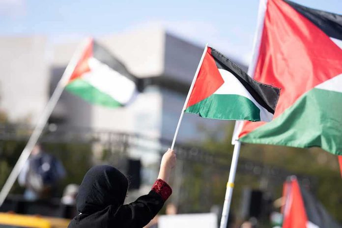shutterstock_2378182811-1 Person waving a Palestinian flag at a rally